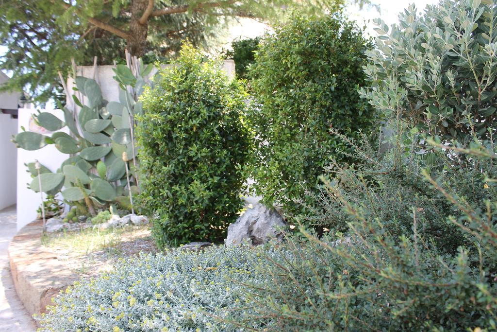 Albachiara Bed & Breakfast Monopoli Buitenkant foto
