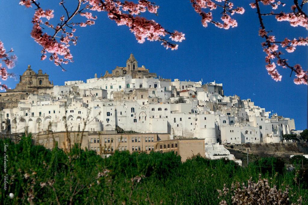 Albachiara Bed & Breakfast Monopoli Buitenkant foto
