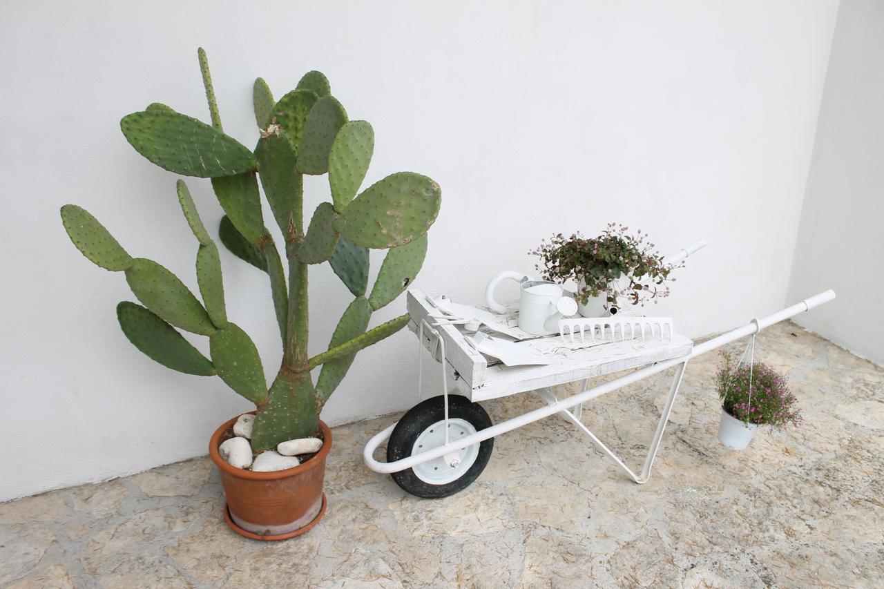 Albachiara Bed & Breakfast Monopoli Buitenkant foto